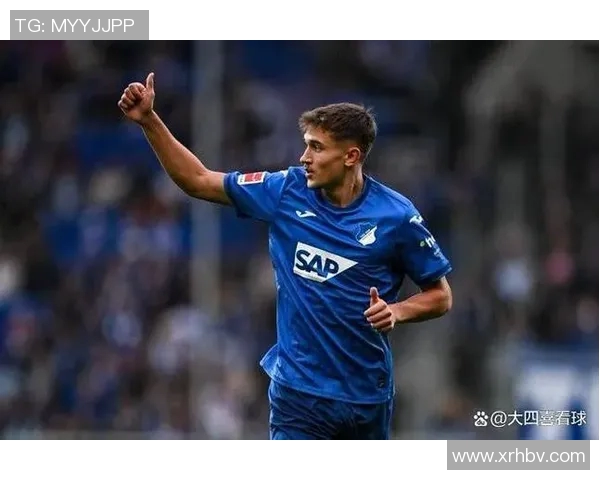 霍芬海姆队长续约,稳定阵容实力更强劲 霍芬海姆队长续约,稳定阵容实力更强劲